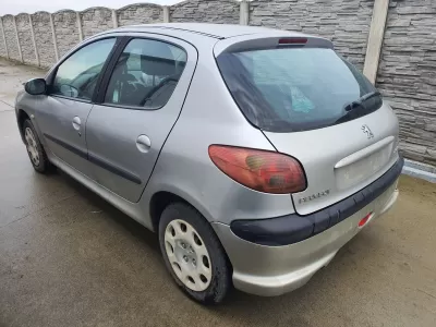 Haion peugeot 206