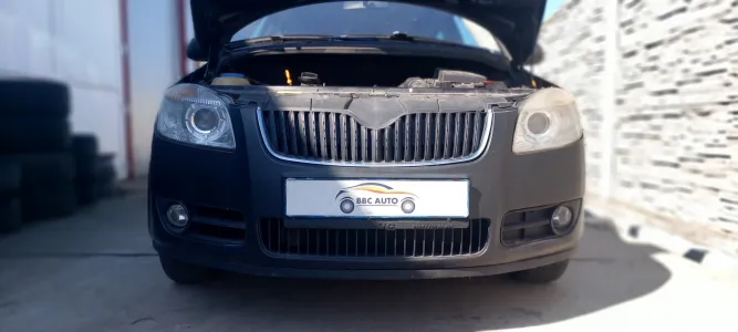 Bara fata skoda fabia 2